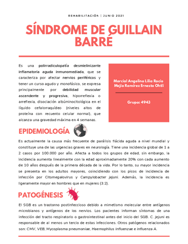 Sindrome-de-Guillain-Barre.pdf