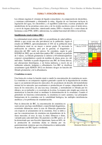 Tema 7. Función renal VSM.pdf