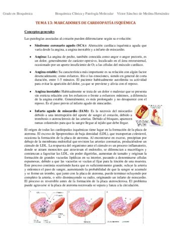 Tema 13. Marcadores de cardiopatía isquémica VSM.pdf