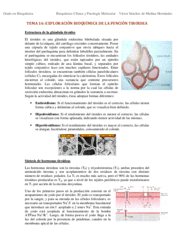 Tema 16. Exploración bioquímica de la función tiroidea VSM.pdf