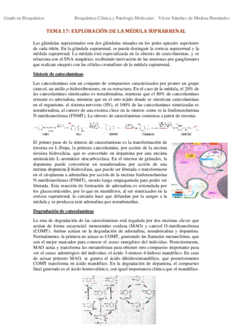 Tema 17. Exploración bioquímica de la médula suprarrenal VSM.pdf