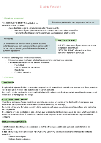 El-tejido-Fascial-II.pdf