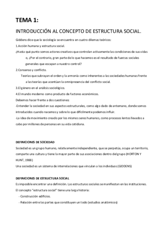TEMA 1 Estructura social.pdf
