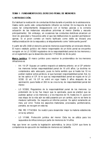 TEMA-1-FUNDAMENTOS-DEL-DERECHO-PENAL-DE-MENORES.pdf