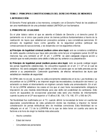TEMA-2-PRINCIPIOS-CONSTITUCIONALES-DEL-DERECHO-PENAL-DE-MENORES.pdf