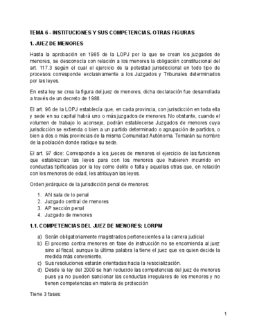 TEMA-6.-INSTITUCIONES-Y-SUS-COMPETENCIAS.-OTRAS-FIGURAS.pdf