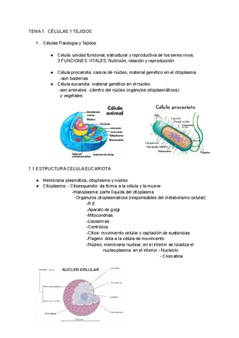 ENFERMERIA-TEMA-1.pdf