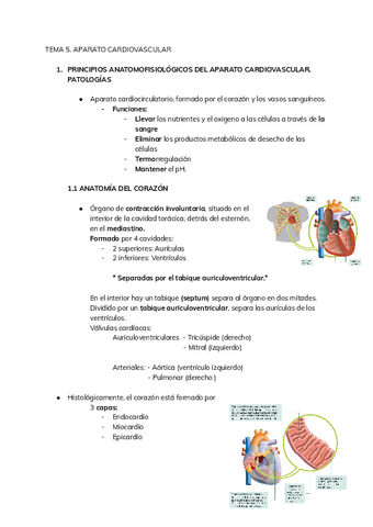 ENFERMERIA-TEMA-5.pdf