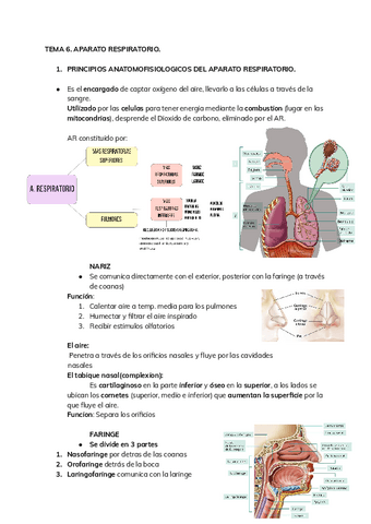 ENFERMERIA-TEMA-6.pdf