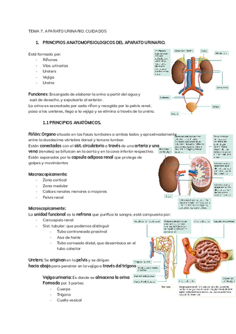 ENFERMERIA-TEMA-7.pdf