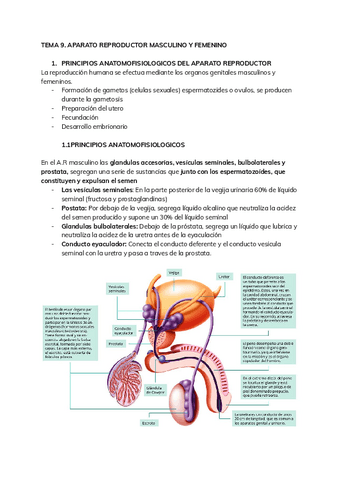 ENFERMERIA-TEMA-9.pdf