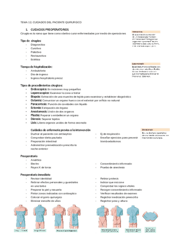 ENFERMERIA-TEMA-12.pdf