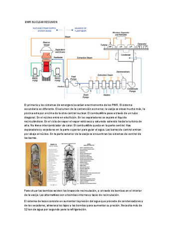 NUCLEAR-REACTOR-BWR-RESUMEN.pdf