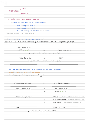 Esquema-contable-escision.pdf