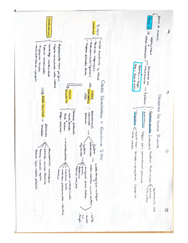 ESQUEMAdecretosNuevaplantacrisisS.XVII.pdf