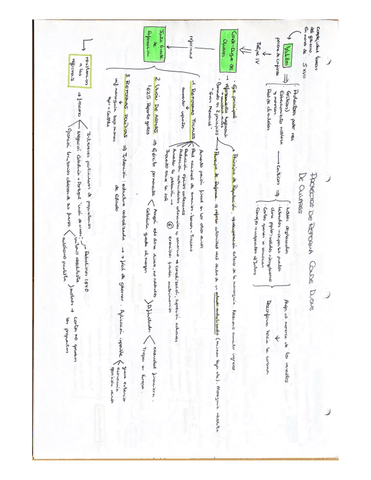 ESQUEMAreformaduqueolivares.pdf