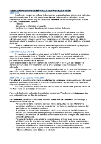 Apuntes-T8-Atencion.pdf