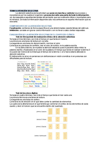 Apuntes-T9-Atencion.pdf