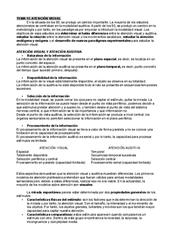 Apuntes-T12-Atencion.pdf