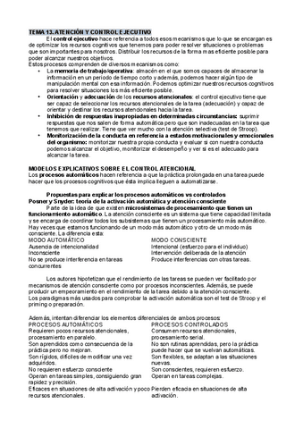 Apuntes-T13-Atencion.pdf