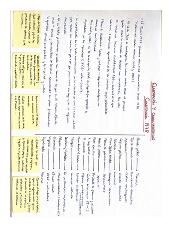 ESQUEMA-CONSTITUCION-1978.pdf