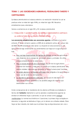 Tema 1 historia económica.pdf