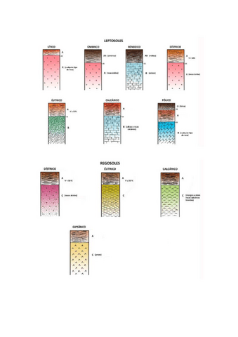 Esquemas-clasificación-de-suelos.pdf