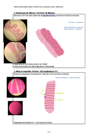 practica-3.pdf