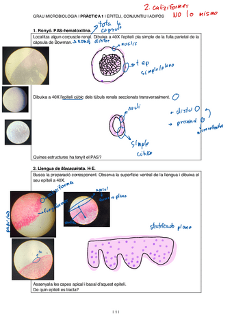 practica-1.pdf