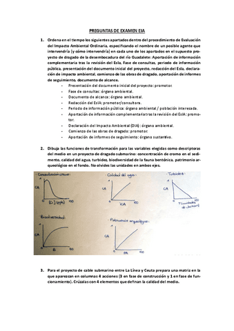 Preguntas-examen-EIA.pdf