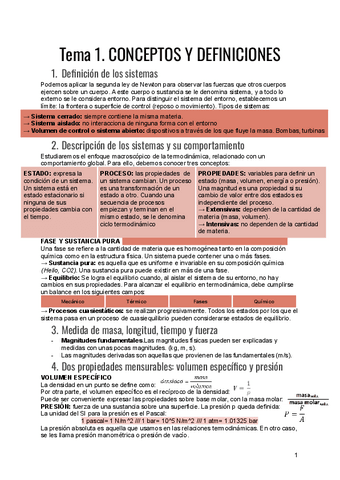 Termica-resumen.pdf