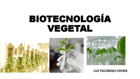 Biotecnologia-Vegetal.pdf