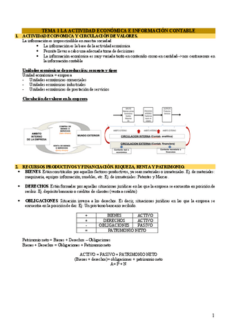 TEMAS-CONTABILIDAD-1-10.pdf
