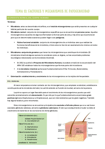 TEMA-13-microbiologia.pdf