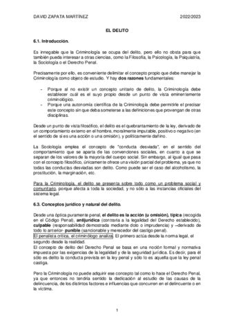 TEMA-5.-EL-DELITO.pdf