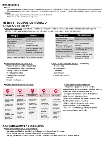 1.Equipos-de-trabajo-DCP-II.pdf