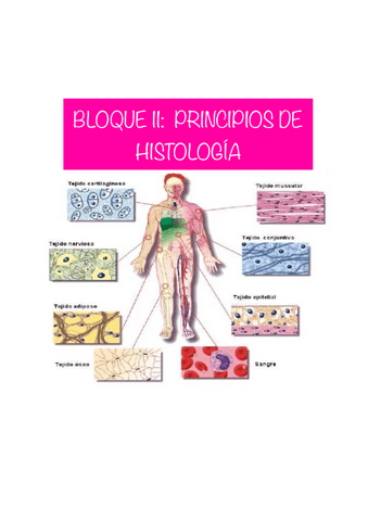 Bloque-2-Biologia-Histologia-1o-enfermeria.pdf