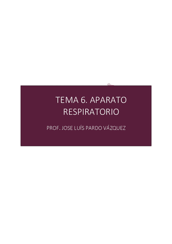 Tema-6-fisiologia-aparato-respiratorio-1o-enfermeria.pdf