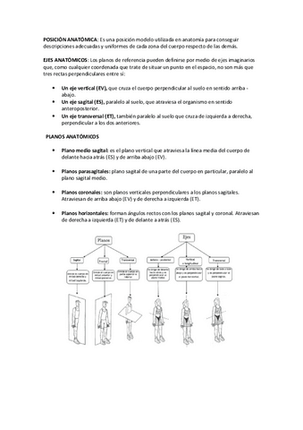 Ejes-planos-cavidades.pdf