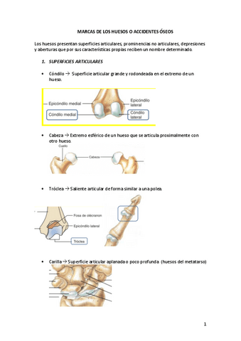 Marcas-de-los-huesos-o-accidentes-oseos.pdf