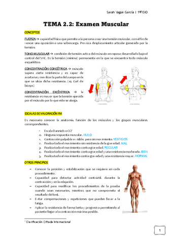 T2.2-Examen-Muscular-Sarah.pdf