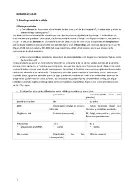 0examen_enero-patatabrava.pdf