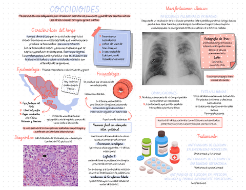 COCCIDIODES.pdf