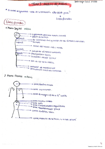 Tema-3-Valoracion-Postura-Sarah.pdf
