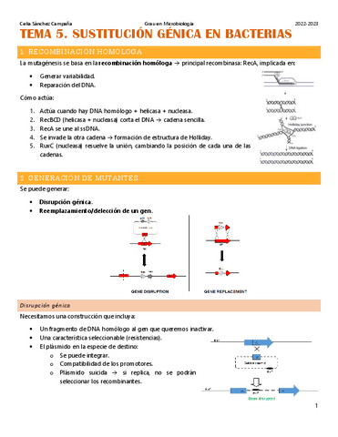 Tema-5.-Sustitucion-genica-en-bacterias.pdf