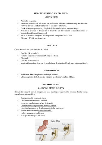 TEMA-5-FISIO-NEURO.pdf