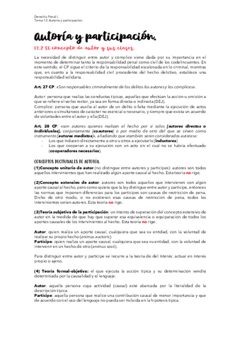 TEMA-13-PENAL.pdf