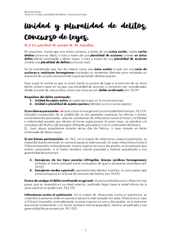 TEMA-14-PENAL.pdf