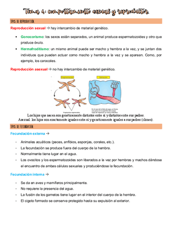 Tema-4-apuntes-etiologia.pdf