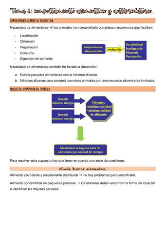 Tema-6-apuntes-etiologia.pdf